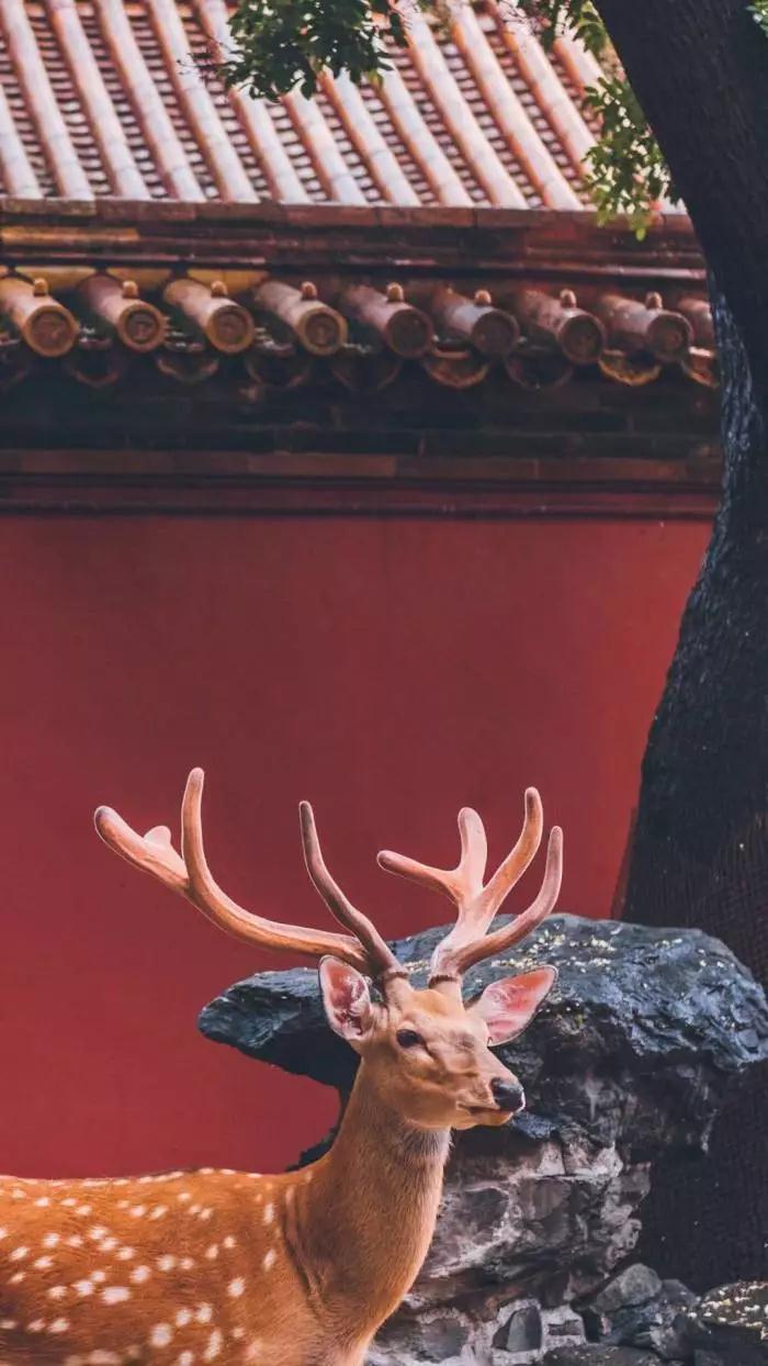 微信圖片_20190815114534.jpg 微信圖片_20190815114534.jpg